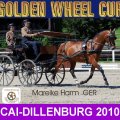 Mareike Harm GER 4th PLACE CAI- Dillenburg Dressage Golden Wheel CUP Single Driving 2010